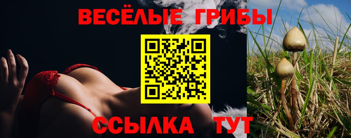 Галлюциногенные грибы GOLDEN TEACHER  продажа наркотиков  Кольчугино  Псилоцибиновые грибы Psilocybine cubensis  Вход с VPN 