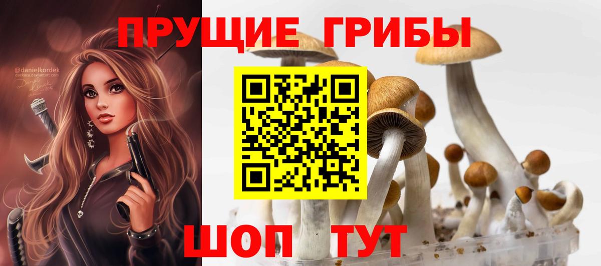Галлюциногенные грибы Magic Shrooms Кольчугино