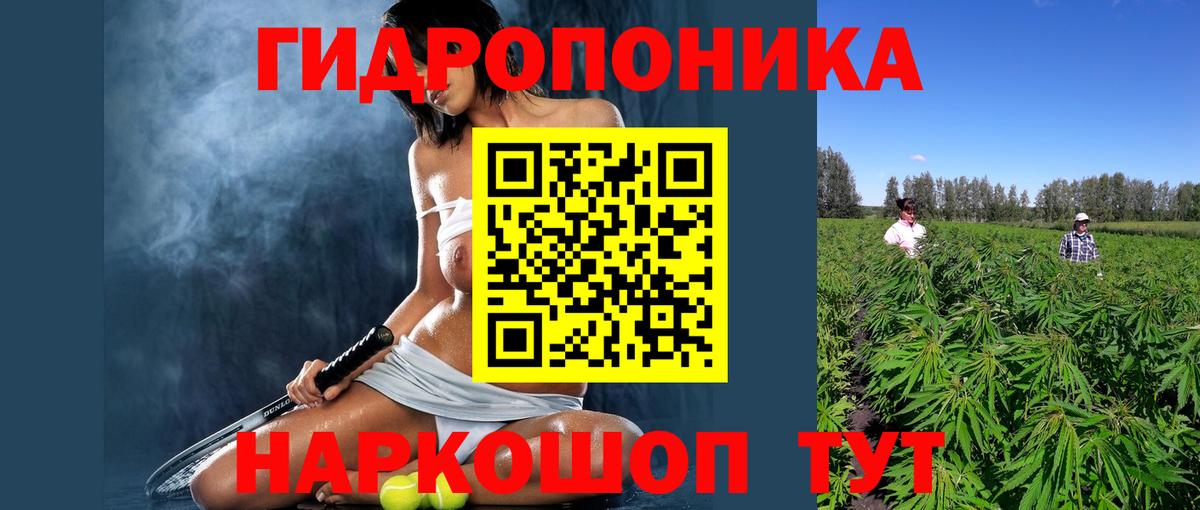 Кольчугино  МАРИХУАНА MAZAR  Вход с VPN  Бошки марихуана сатива  Марихуана Ganja 